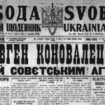 Nilrolog_E_Konovalec