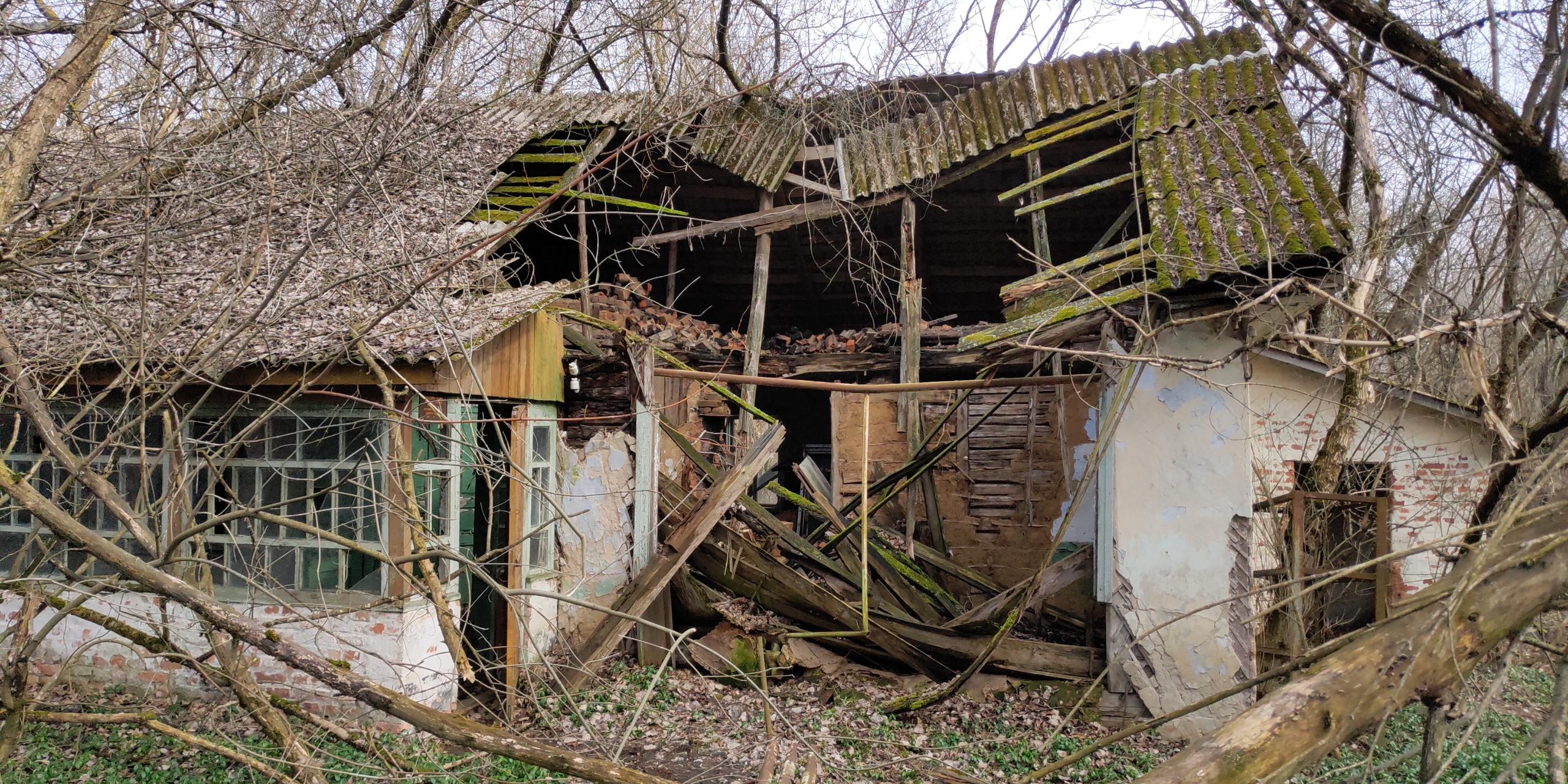 Залісся